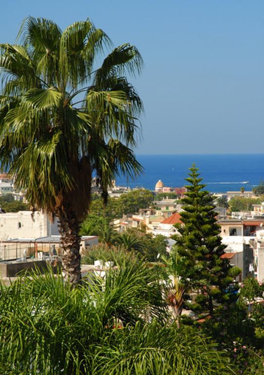 Forio di Ischia Hotel Terme Castaldi מראה חיצוני תמונה